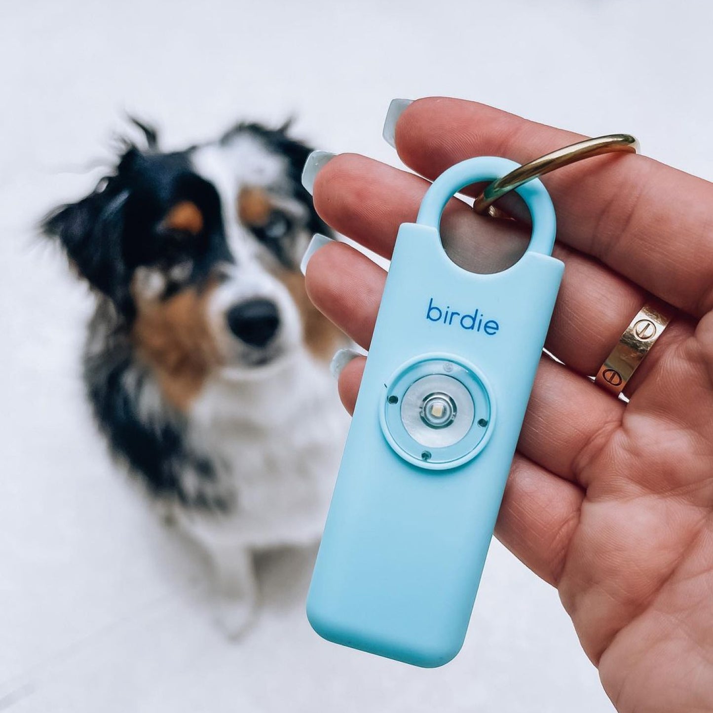 She’s Birdie–The Original Personal Safety Alarm for Women by Women–Loud Siren, Strobe Light and Key Chain in a Variety of Colors