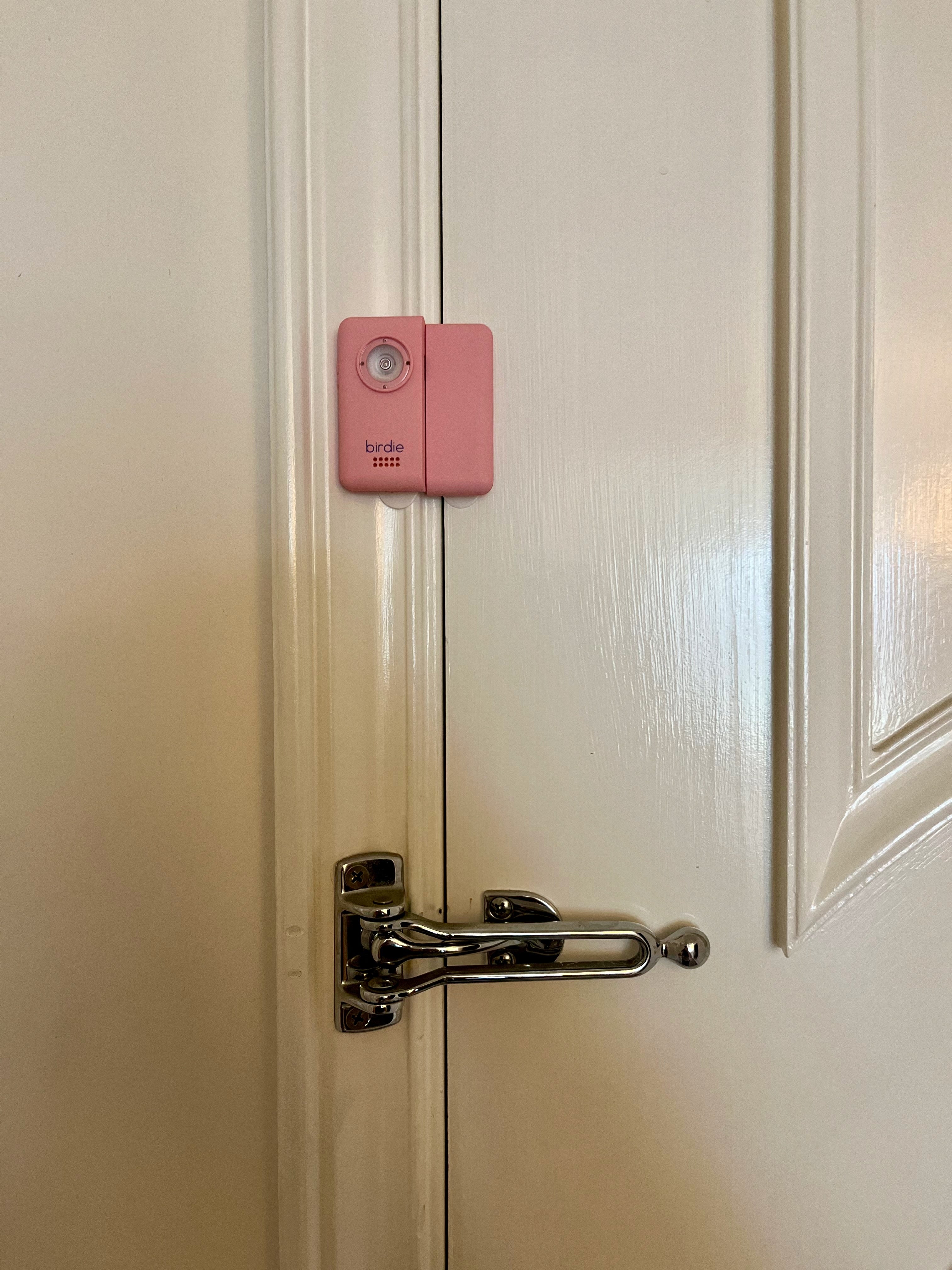 Birdie Box review