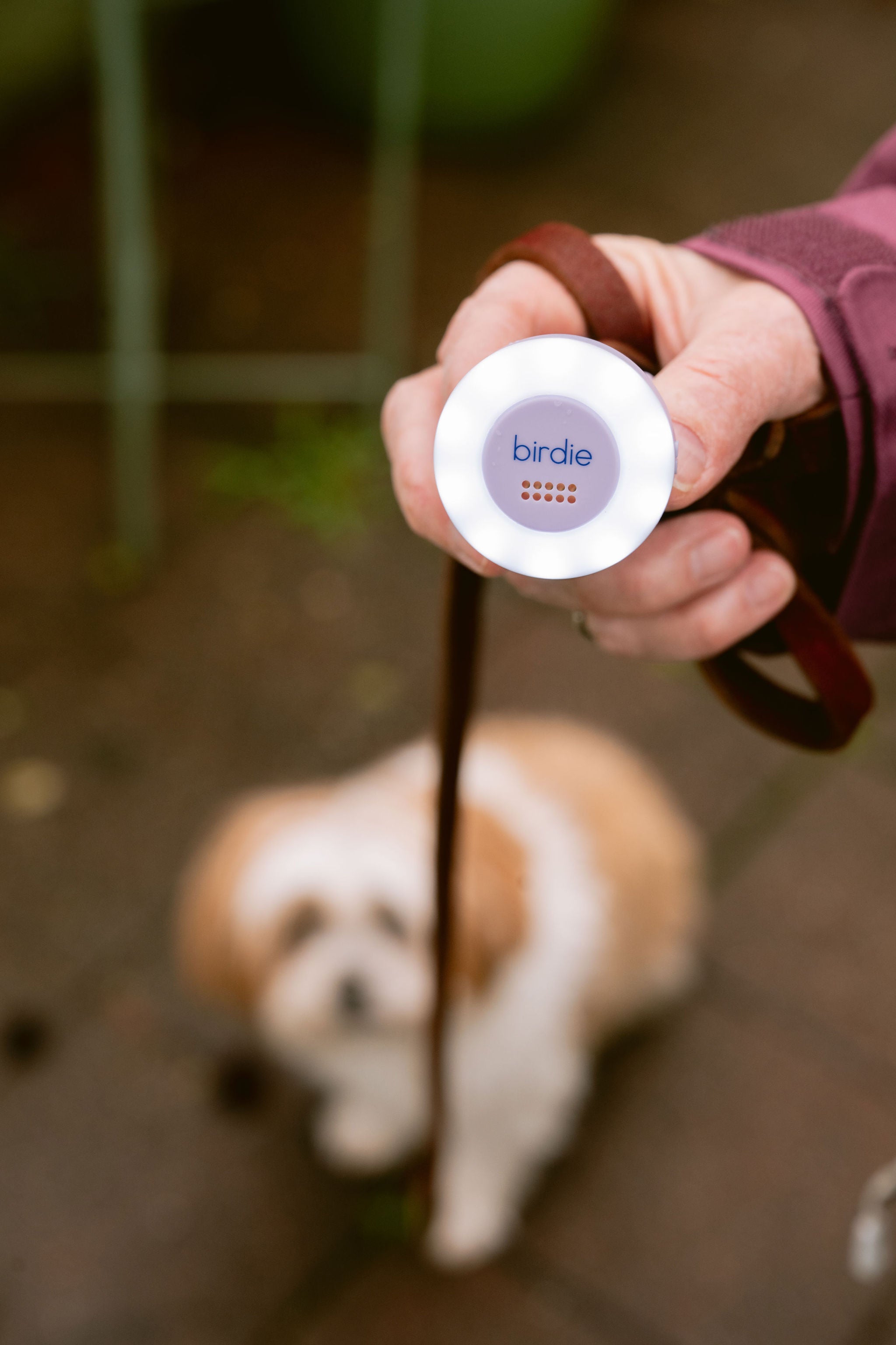 Birdie Disc – She's Birdie