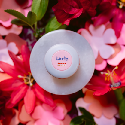 Birdie Disc