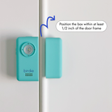 Birdie Box setup detail