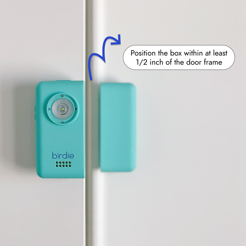 Birdie Box setup detail