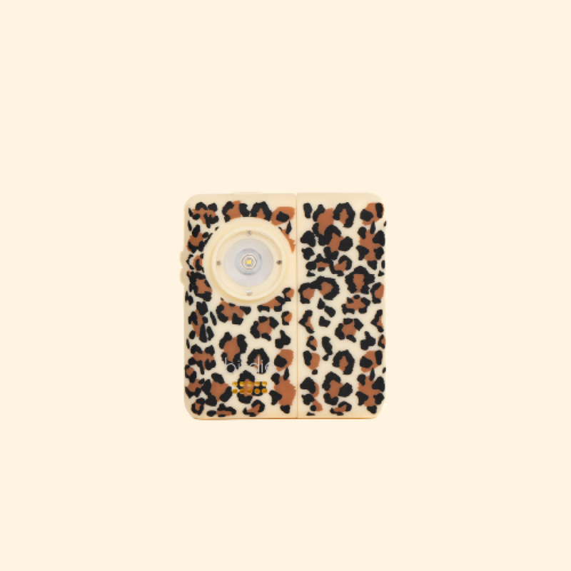 Birdie Box cheetah