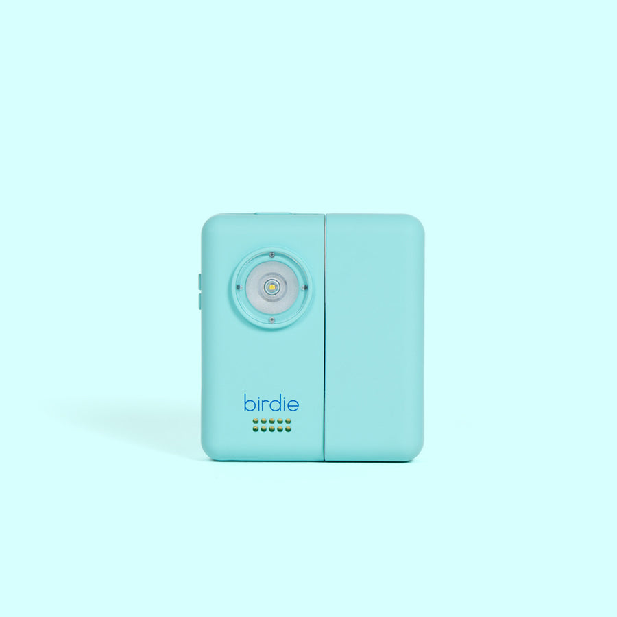Birdie Box portable door alarm