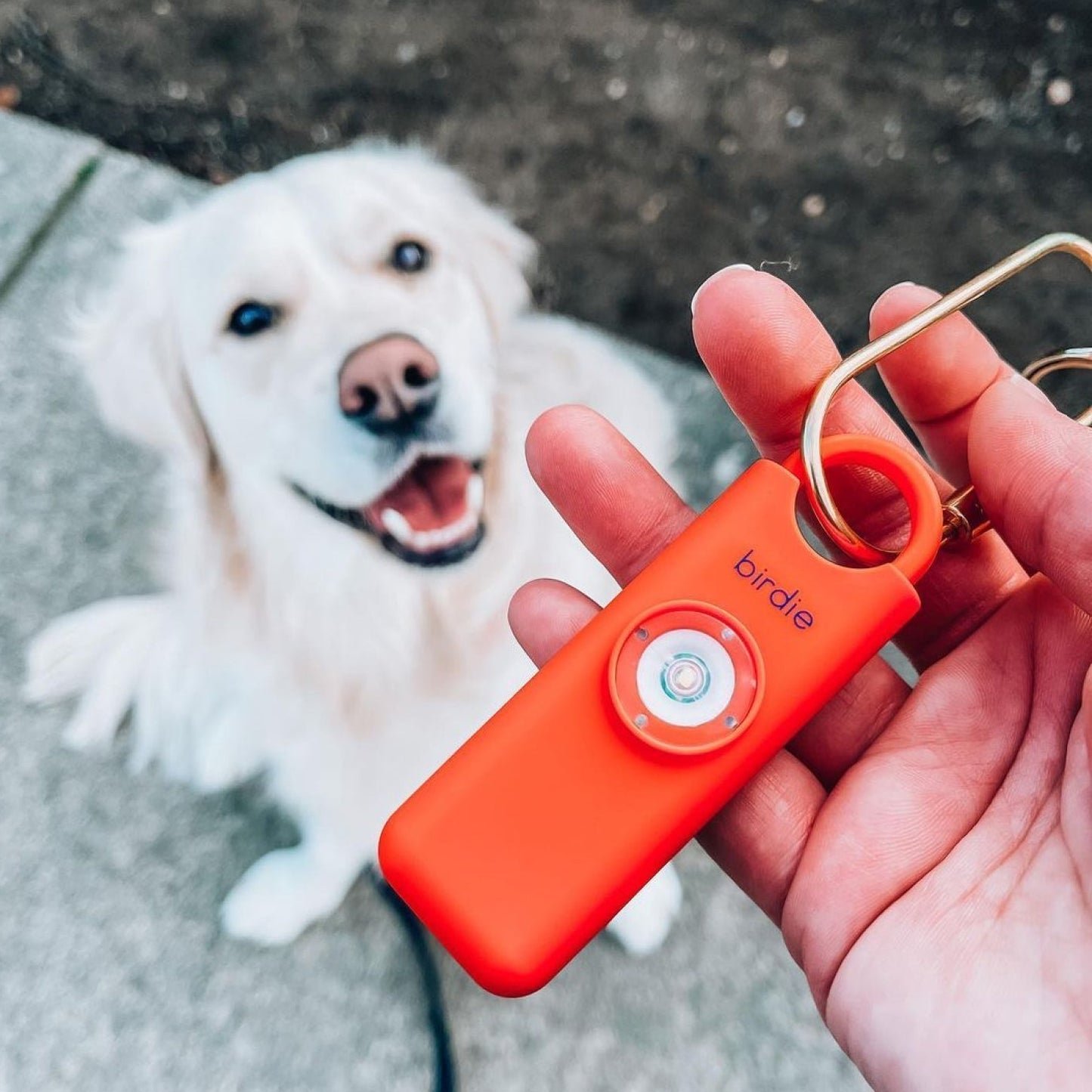 Birdie Personal Safety Alarm