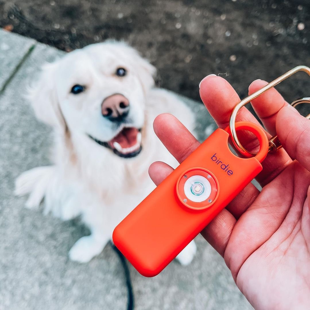 Person holding an orange Birdie safety alarm with a happy dog in the background.