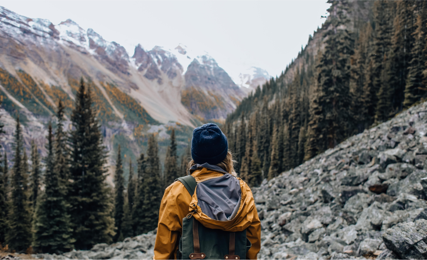A person in outdoor gear admires a mountainous forest landscape.